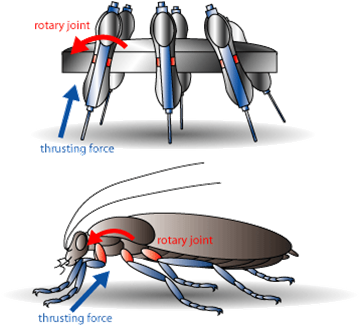 Biomimicry